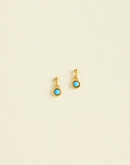Demi-Fine Turquoise Drop Earrings