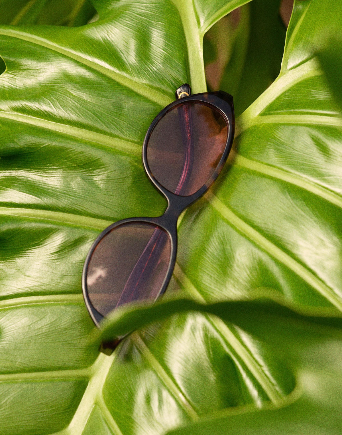 The Solina Oval Sunglasses