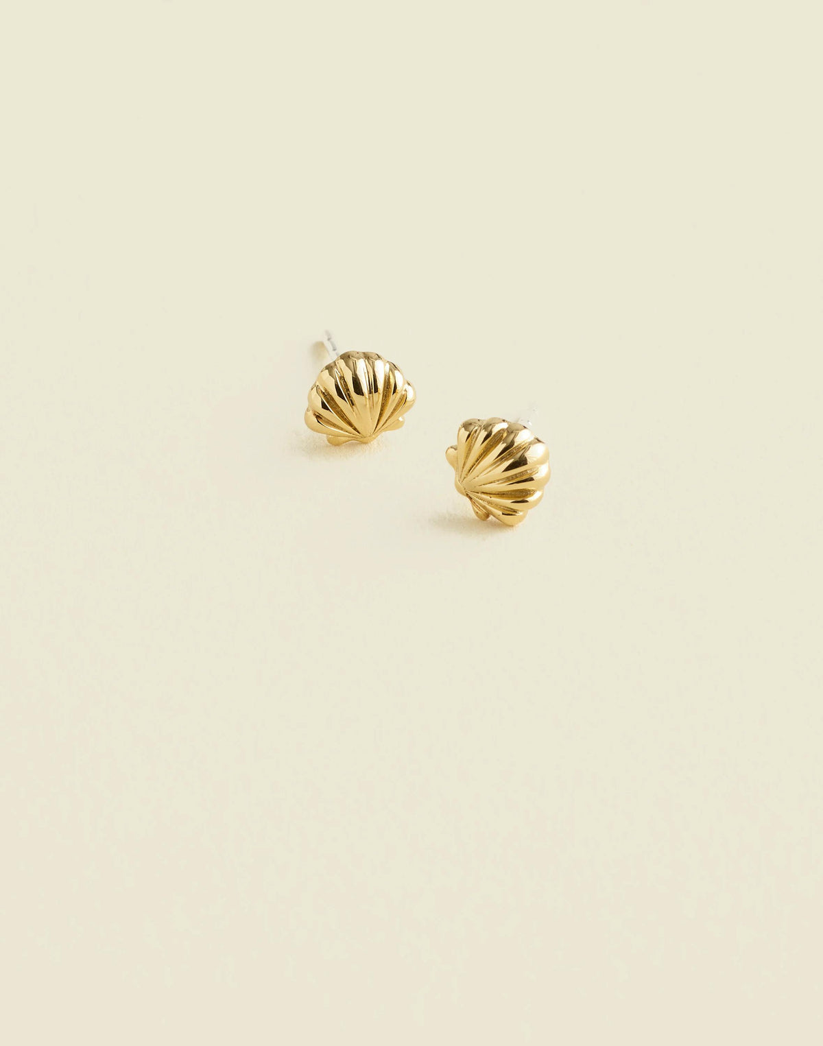 Demi-Fine Shell Stud Earrings