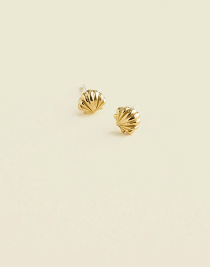 Demi-Fine Shell Stud Earrings