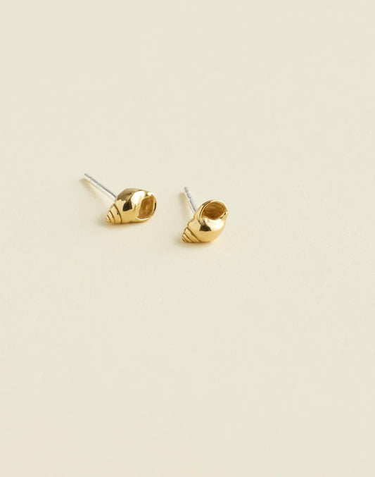 Demi-Fine Shell Stud Earrings